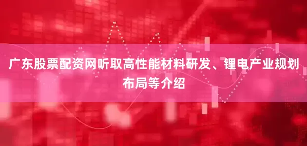 广东股票配资网听取高性能材料研发、锂电产业规划布局等介绍