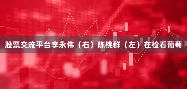 股票交流平台李永伟（右）陈桃群（左）在检看葡萄
