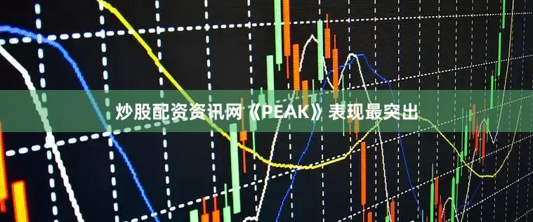 炒股配资资讯网《PEAK》表现最突出