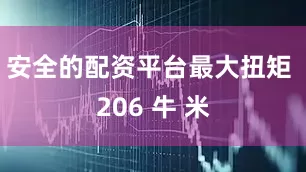 安全的配资平台最大扭矩 206 牛 米
