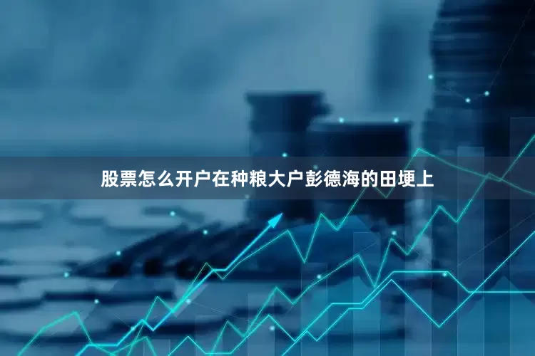 股票怎么开户在种粮大户彭德海的田埂上